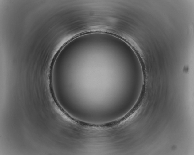 X0000097910941200803141415