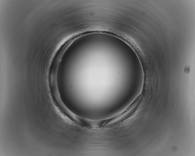 X0000097910942200803141415