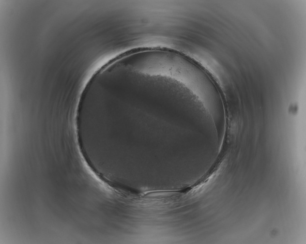 X0000097910943200803141415