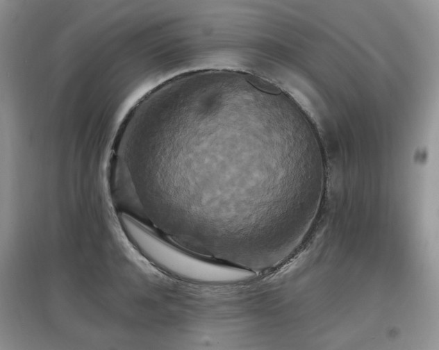 X0000097910944200803141415