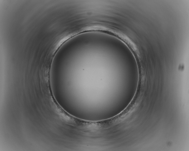 X0000097910945200803141415