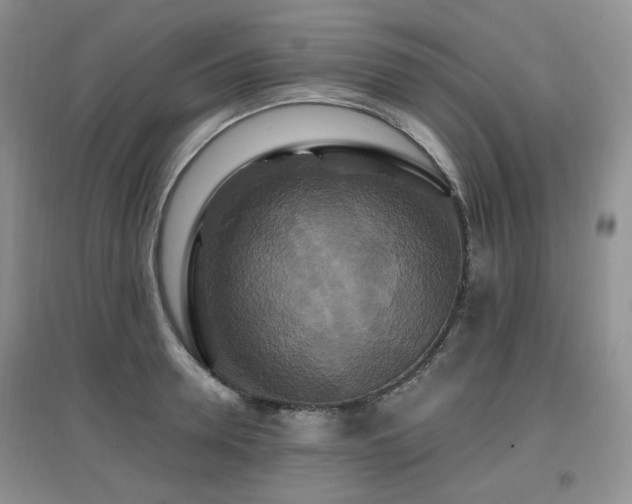 X0000097910946200803141415