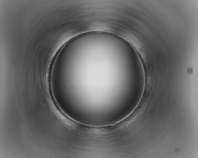 X0000097910947200803141415