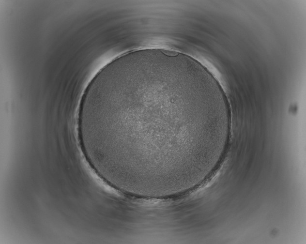 X0000097910949200803141415