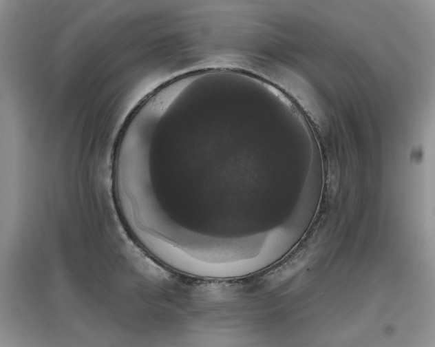 X0000097910950200803141415