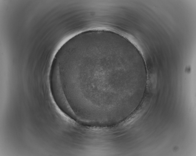 X0000097910951200803141415