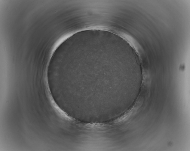 X0000097910952200803141415