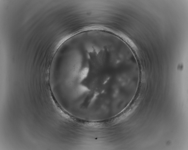 X0000097910953200803141415