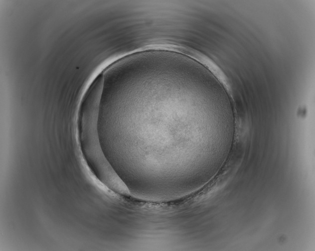 X0000097910955200803141415