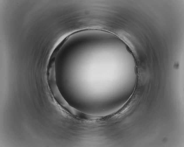 X0000097910956200803141416