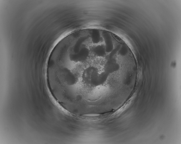 X0000097910957200803141416