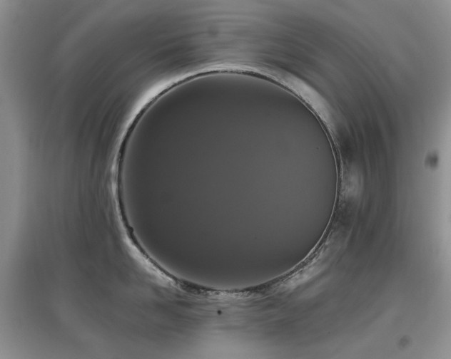 X0000097910958200803141416