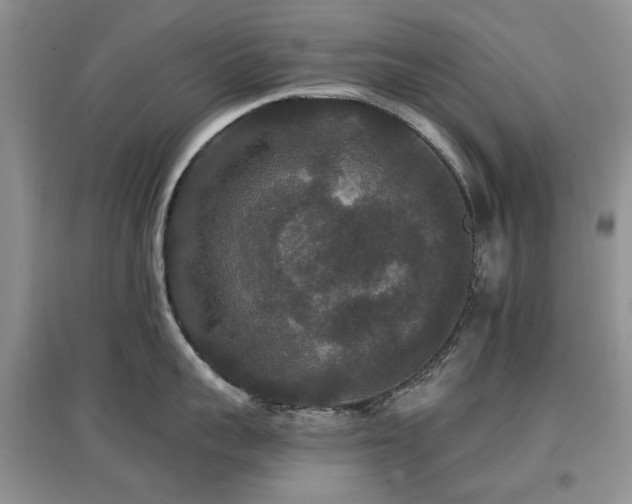 X0000097910959200803141416