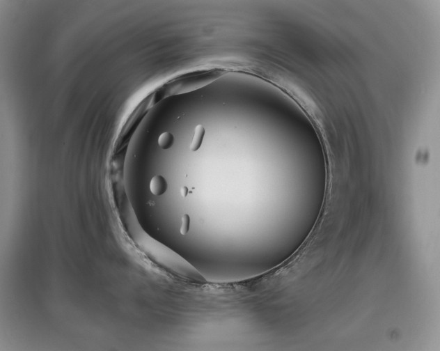 X0000097910960200803141416