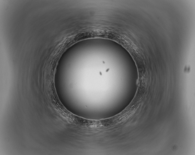 X0000097910961200803141415