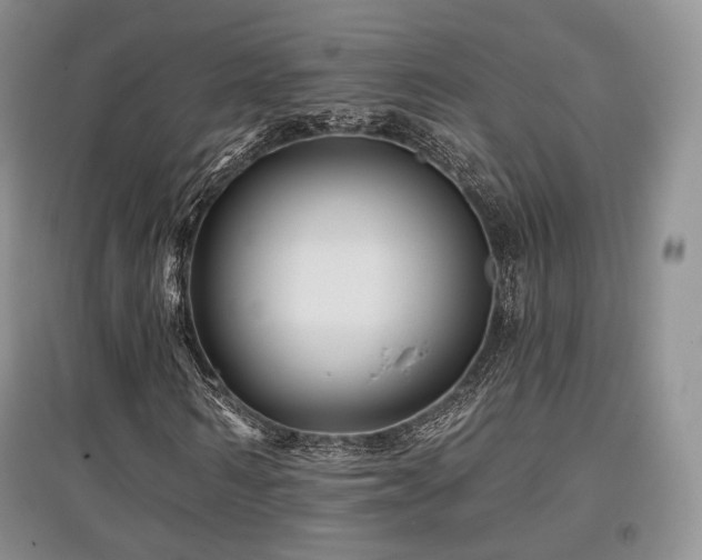 X0000097910962200803141415