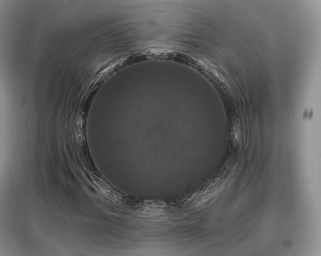 X0000097910964200803141415