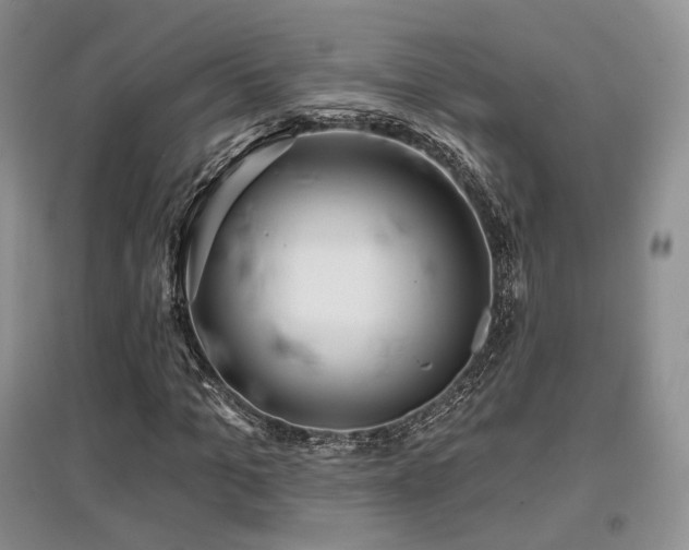 X0000097910965200803141415