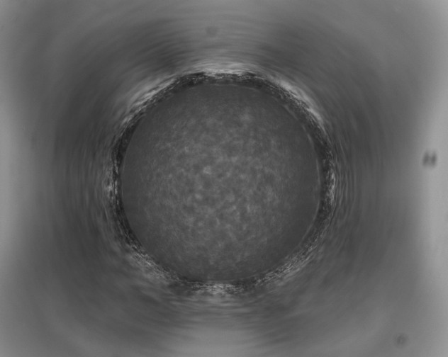 X0000097910966200803141415