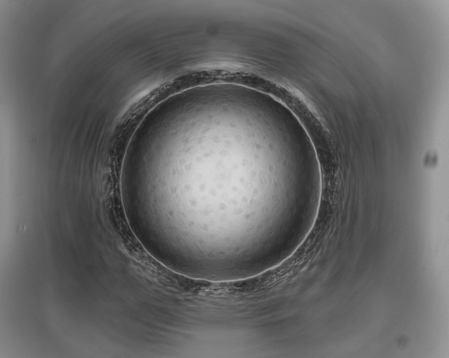 X0000097910967200803141415