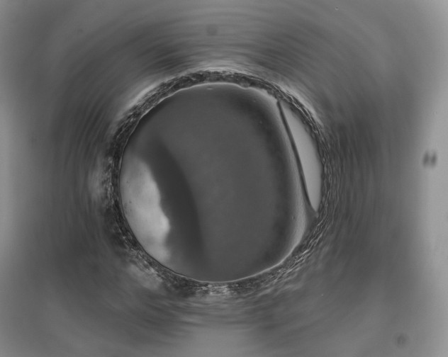 X0000097910968200803141415