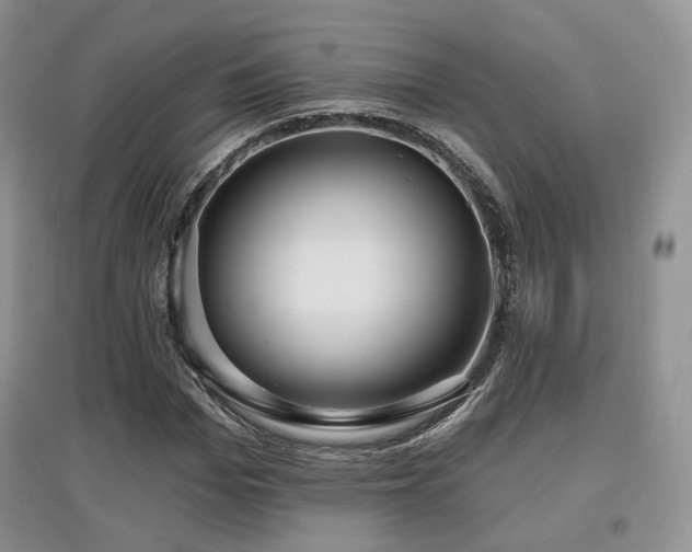 X0000097910969200803141415