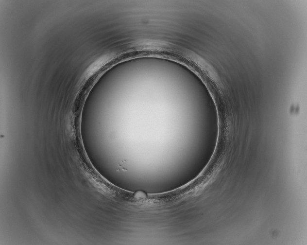 X0000097910970200803141415