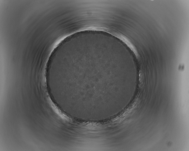 X0000097910972200803141415