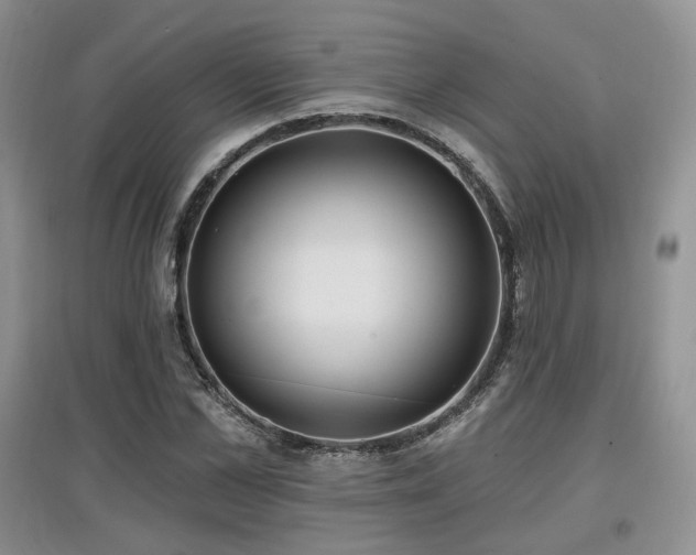 X0000097910973200803141415