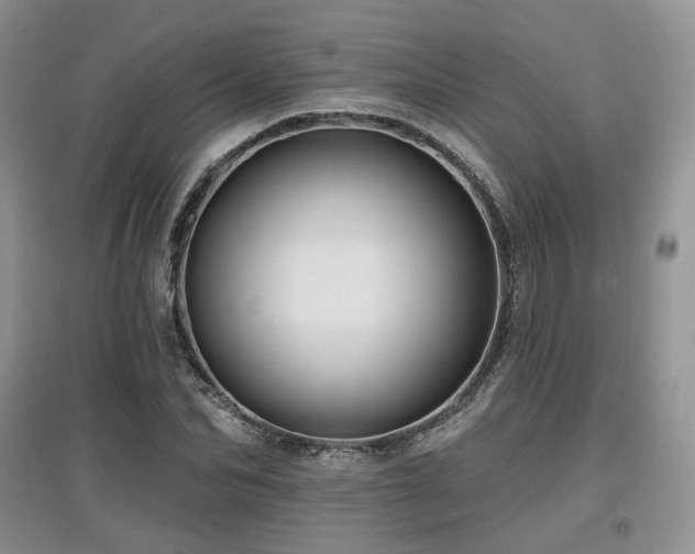 X0000097910974200803141415