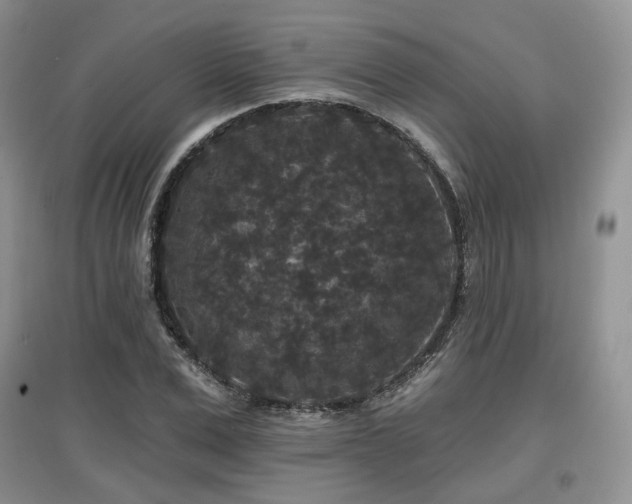 X0000097910975200803141415