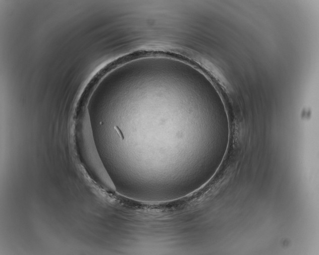 X0000097910976200803141415