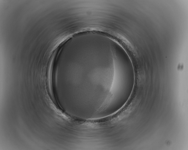 X0000097910977200803141415