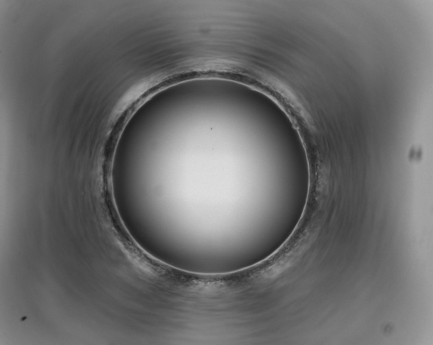 X0000097910978200803141415