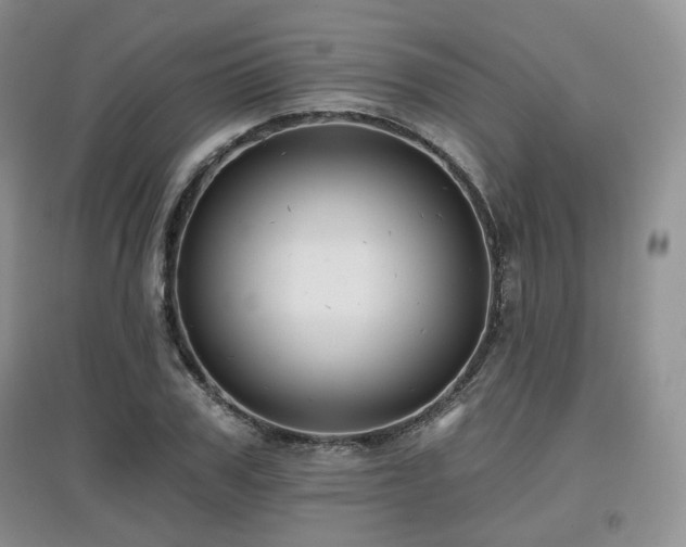 X0000097910979200803141415