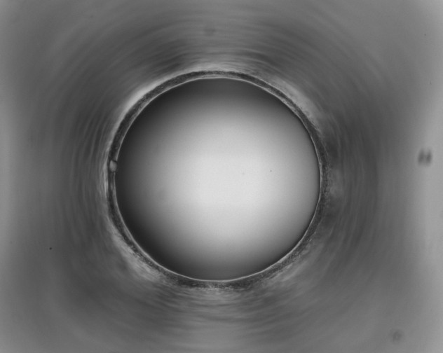 X0000097910980200803141415