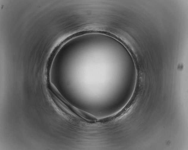 X0000097910981200803141415