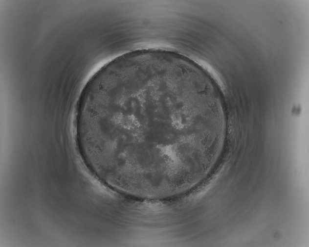 X0000097910983200803141414