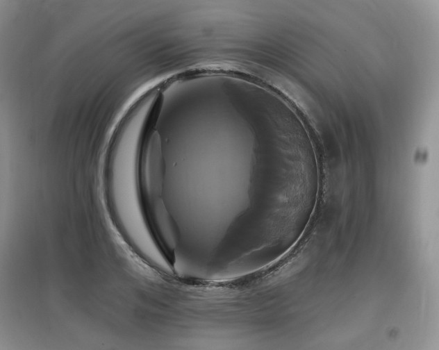 X0000097910984200803141414