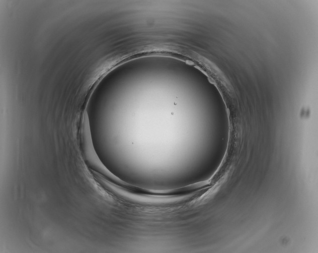 X0000097910985200803141414