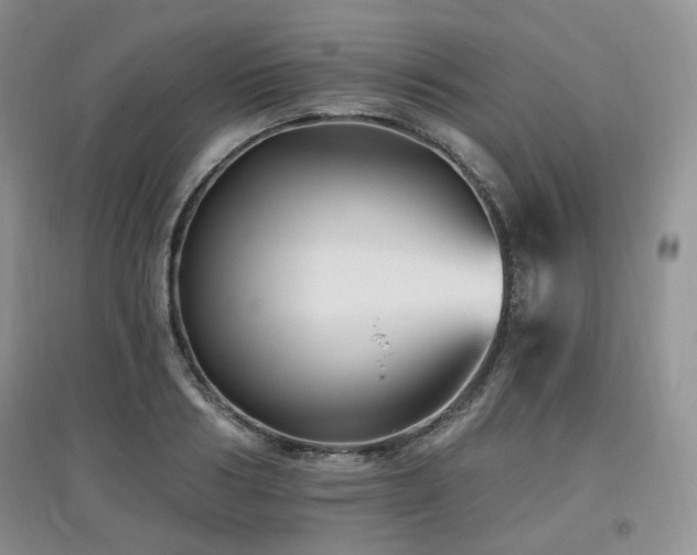 X0000097910986200803141414