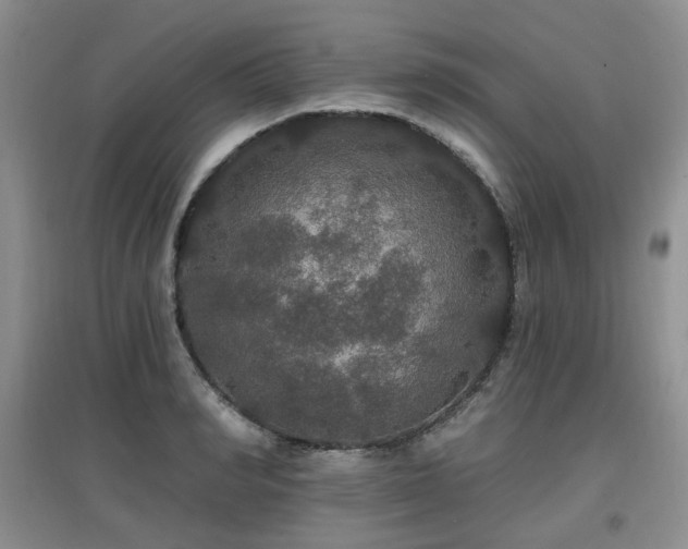 X0000097910990200803141414