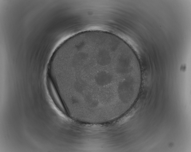 X0000097910991200803141414