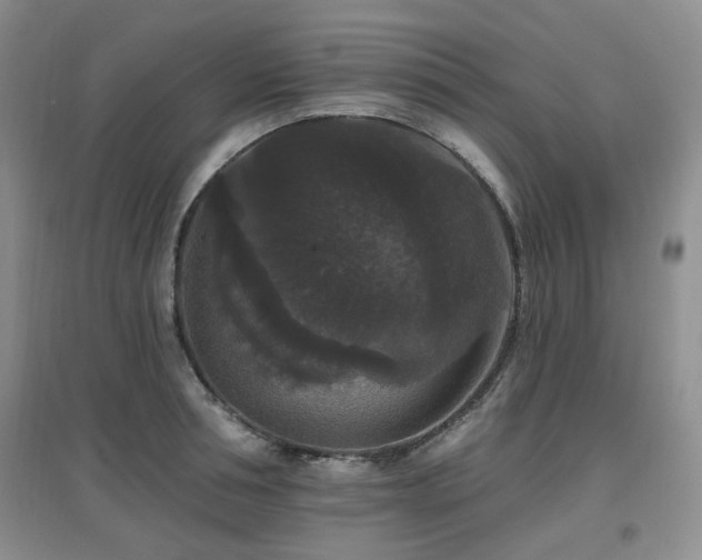 X0000097910994200803141414