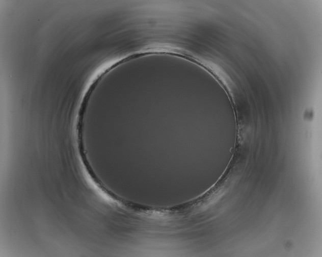 X0000097910995200803141414