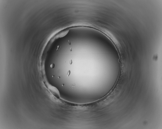 X0000097910996200803141414