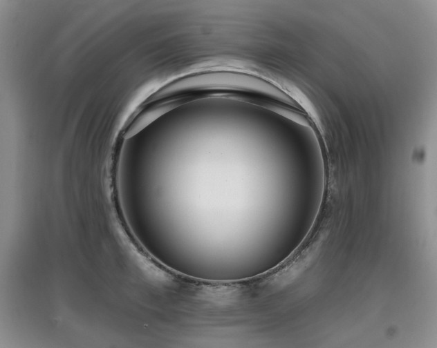 X0000097910997200803141414