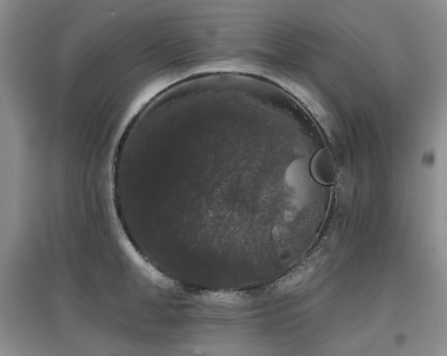 X0000097910998200803141414