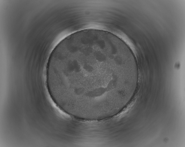 X0000097910999200803141414