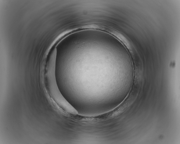 X0000097911000200803141414